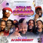 DJ Don Bright