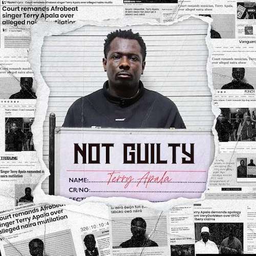 Terry Apala – Echoes of Pain