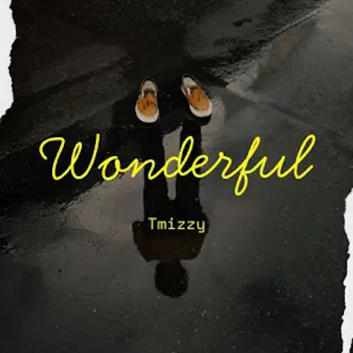 Tmizzy Mrhorrizen – Wonderful Ft. Small Doctor